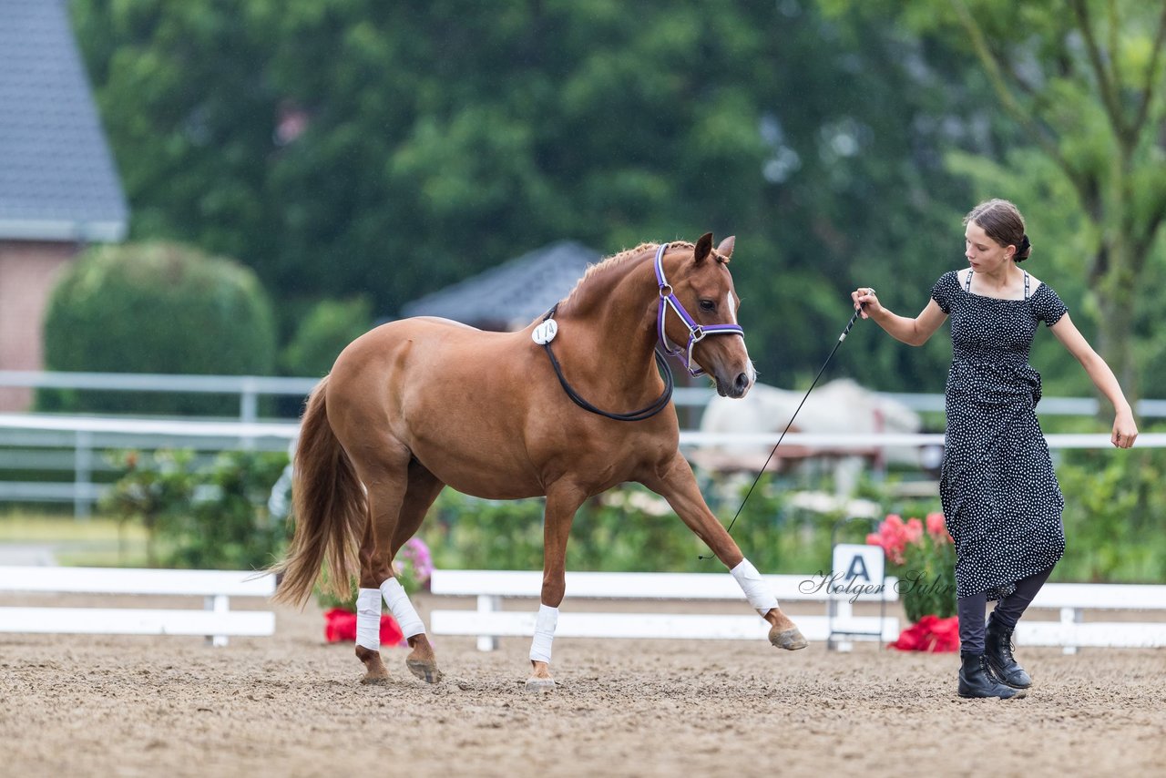Bild 151 - Pony Akademie Turnier